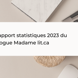 Madame lit le rapport statistiques 2023 de son blogue