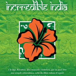 Madame lit IncRRedible India de David Tessier